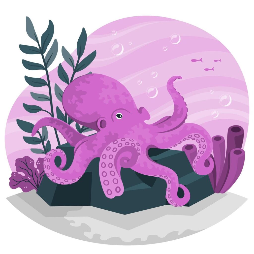 octopus have three hearts