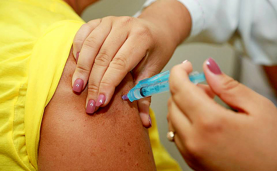 Immune System Fights Viruses