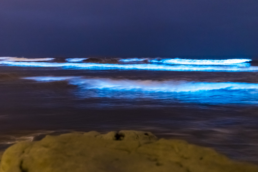 Bioluminescent Beaches