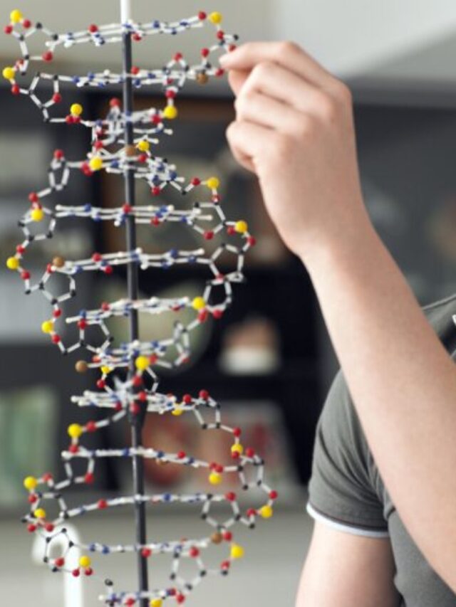 Sparking Wonder: Easy Science Projects for Young Explorers