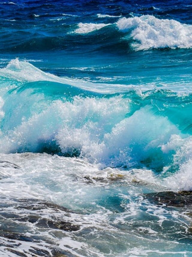 Do you know What is the difference between Reality and Global Warming Sea Level Rise Myths